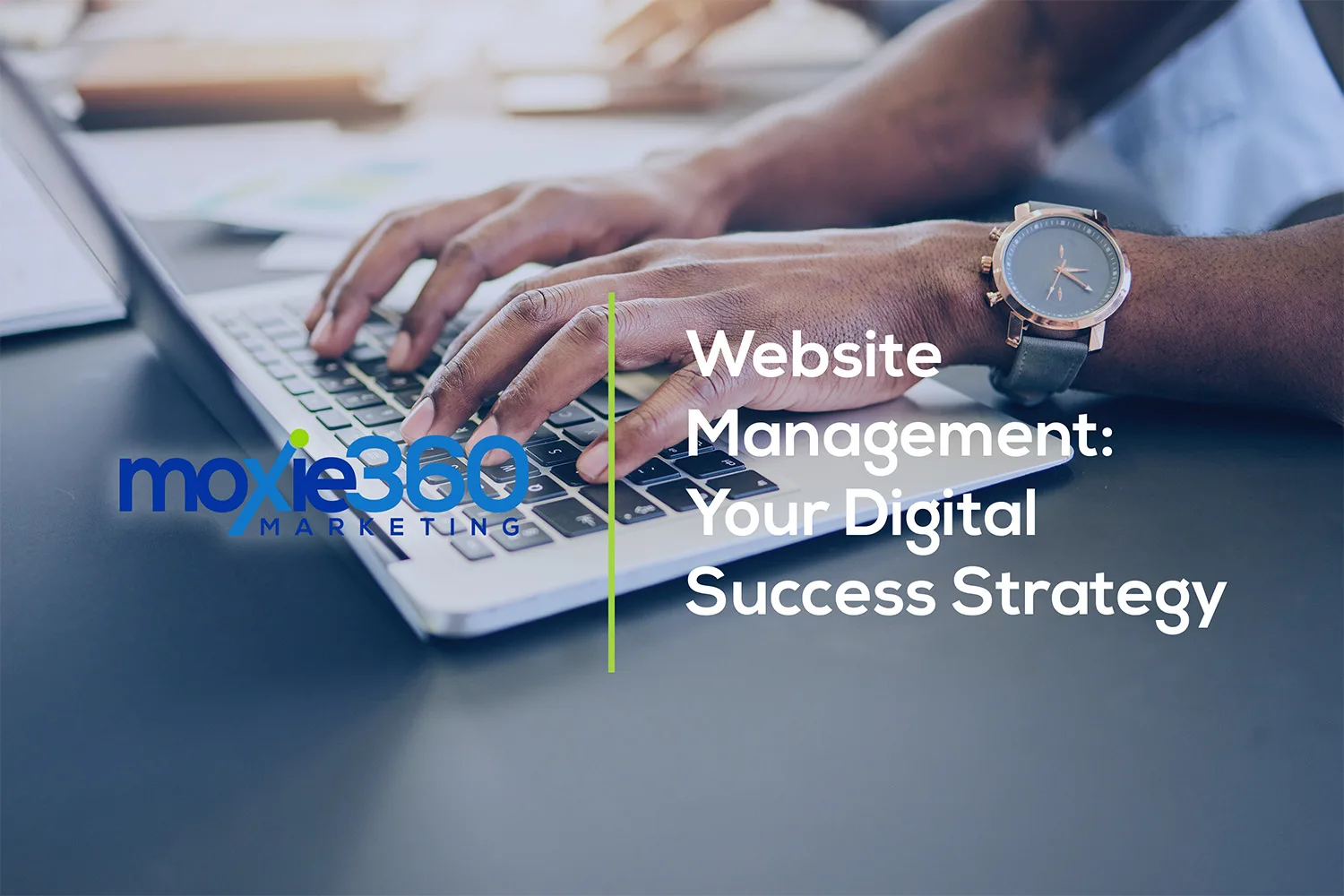 website management | moxie360 marketing